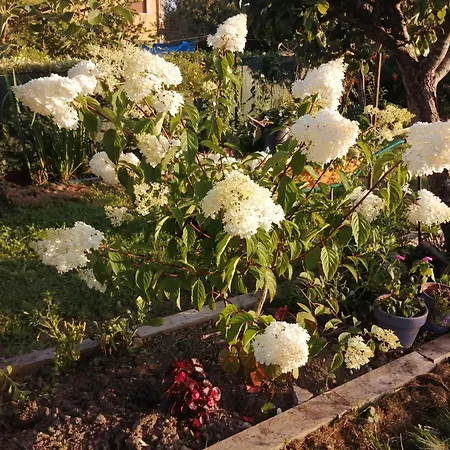 Séjour chez l'habitant El Caserio De Esther Beranga