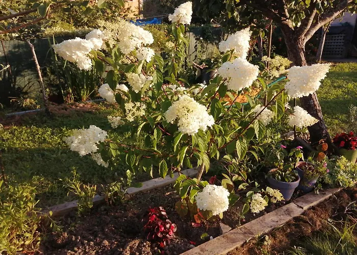 Homestay El Caserio De Esther Beranga